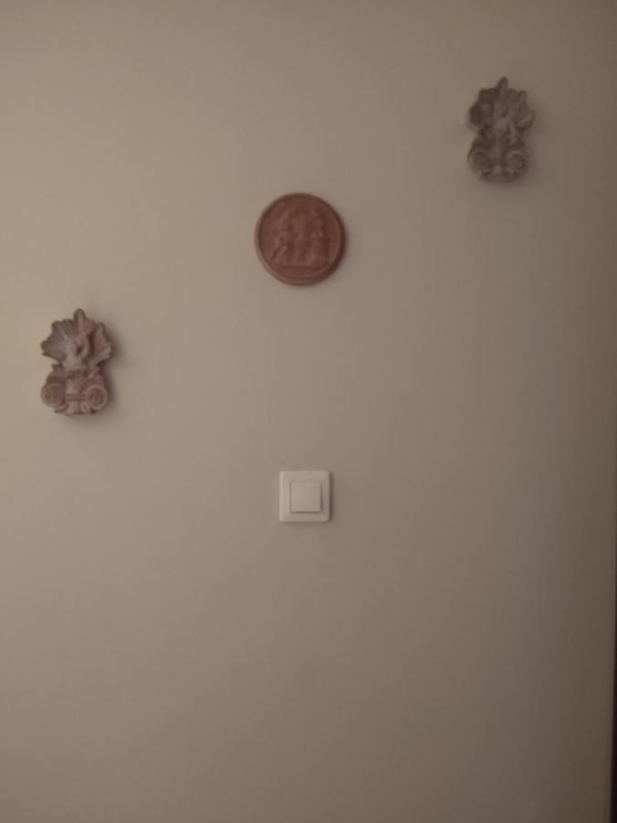 Acropolis Within 10 Minutes Walk! Classical Apartment And A Hostess At Your Side! Athènes Extérieur photo